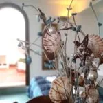 Orchidea