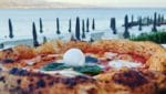 pizza_napoletana_anzio_elianto_appartamenti_fronte_mare